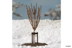 70951 Auhagen Junge Bäume Winter -Modelfiguren Verkoop 2024 AU70951 2